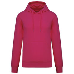 Sweat-shirt &agrave; capuche K4027 Rixheim