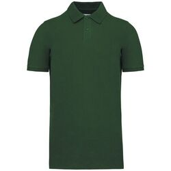 Polo Bio 180 K2025 Rixheim