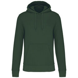 Sweat-shirt &agrave; capuche K4027 Rixheim