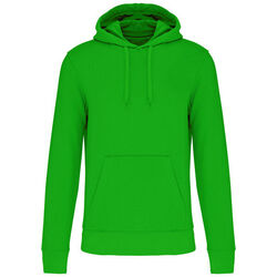 Sweat-shirt &agrave; capuche K4027 Rixheim