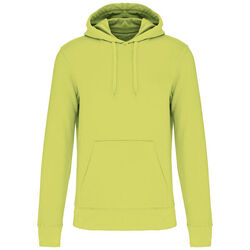 Sweat-shirt &agrave; capuche K4027 Rixheim