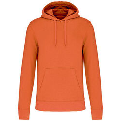 Sweat-shirt &agrave; capuche K4027 Rixheim