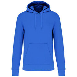 Sweat-shirt &agrave; capuche K4027 Rixheim