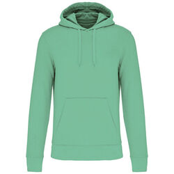 Sweat-shirt &agrave; capuche K4027 Rixheim