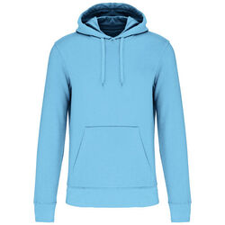 Sweat-shirt &agrave; capuche K4027 Rixheim