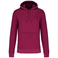 Sweat-shirt &agrave; capuche K4027 Rixheim