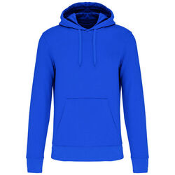 Sweat-shirt &agrave; capuche K4027 Rixheim