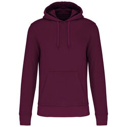 Sweat-shirt &agrave; capuche K4027 Rixheim