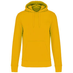 Sweat-shirt &agrave; capuche K4027 Rixheim