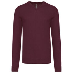 Pull homme V-NECK Rixheim