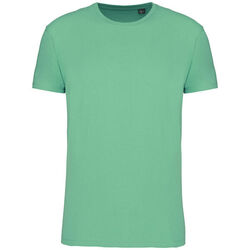T-shirt Bio 150IC K3025ICC SAGE Rixheim