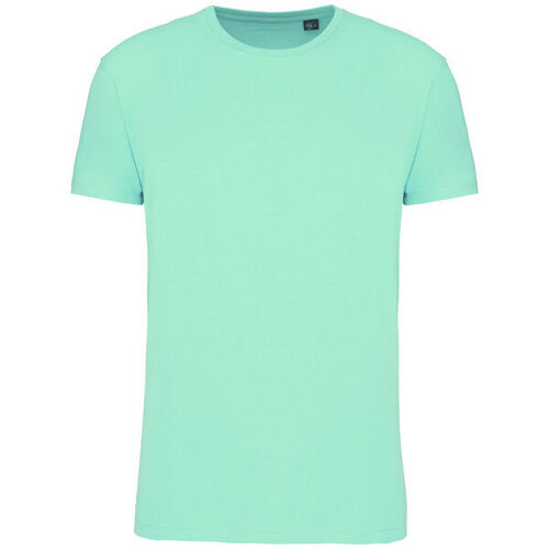 T-shirt Bio 150IC K3025ICC ICE MINT