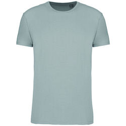T-shirt Bio 150IC K3025ICC SNOW GREY Rixheim
