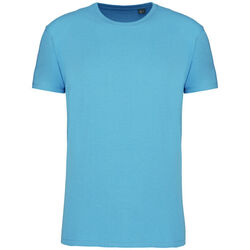 T-shirt Bio 150IC K3025ICC CLOUDY BLUE HEATHER Rixheim