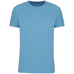 T-shirt Bio 190IC K3032ICC CLOUDY BLUE HEATHER Rixheim