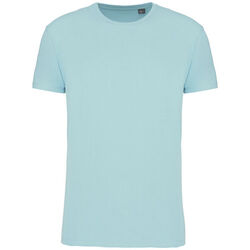 T-shirt Bio 190IC K3032ICC ICE MINT Rixheim