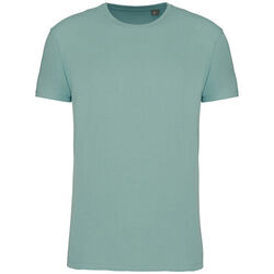 T-shirt Bio 190IC K3032ICC SAGE Rixheim