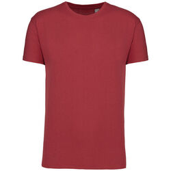 T-shirt Bio 190IC K3032ICC TERRACOTTA RED Rixheim