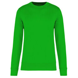 Sweat-shirt &eacute;coresponsable K4025 KELLY GREEN Rixheim