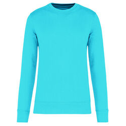 Sweat-shirt &eacute;coresponsable K4025 SEA TURQUOISE Rixheim