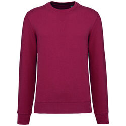 Sweat-shirt &eacute;coresponsable K4025 TERRACOTTA RED Rixheim