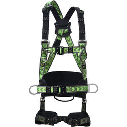 Harnais 2 POINTS + CEINTURE ROTATIVE + BOUCLES AUTOMATIQUES Rixheim